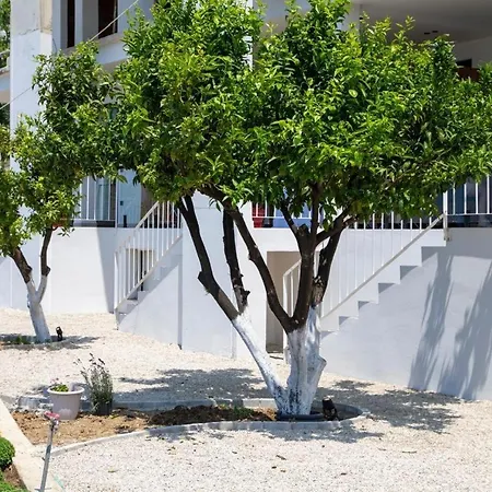 Otel Uzeiri Guest